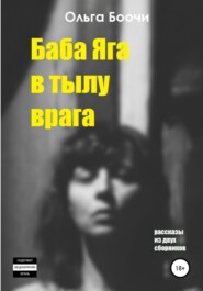 бесплатно читать книгу Баба Яга в тылу врага автора Ольга Боочи