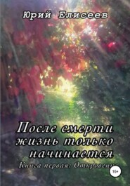 бесплатно читать книгу После смерти жизнь только начинается автора Юрий Елисеев