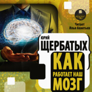 бесплатно читать книгу Как работает наш мозг автора Юрий Щербатых