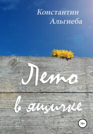 бесплатно читать книгу Лето в ящичке автора  Константин Альгиеба
