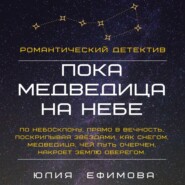 бесплатно читать книгу Пока медведица на небе автора Юлия Ефимова