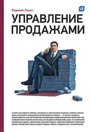 бесплатно читать книгу Управление продажами автора Радмило Лукич