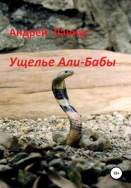 бесплатно читать книгу Ущелье Али-Бабы автора  Ланиус Андрей