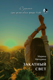 бесплатно читать книгу Закатный свет автора Марина Мичурина