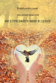 бесплатно читать книгу Не стреляйте мне в душу автора Владимир Визгалов