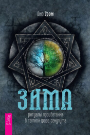 бесплатно читать книгу Зима: ритуалы процветания в темной фазе секулума автора Джо Грэм