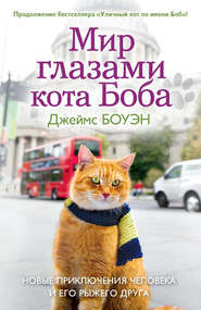бесплатно читать книгу Мир глазами кота Боба. Новые приключения человека и его рыжего друга автора Джеймс Боуэн