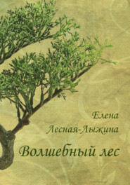 бесплатно читать книгу Волшебный лес автора Елена Лесная-Лыжина