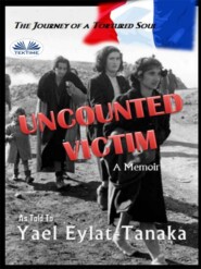 бесплатно читать книгу Uncounted Victim автора Yael Eylat-Tanaka