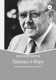 бесплатно читать книгу Заимка в бору автора Максим Зверев