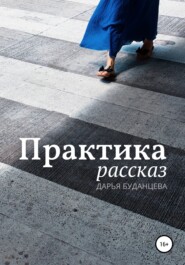 бесплатно читать книгу Практика автора Дарья Буданцева