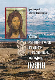 бесплатно читать книгу Святой Великий Пророк Предтеча и Креститель Господень Иоанн автора Симеон Вишняков