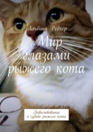 бесплатно читать книгу Мир глазами рыжего кота. Повествование о судьбе рыжего кота автора Альбина Редхер