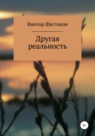 бесплатно читать книгу Другая реальность автора Виктор Шестаков