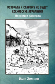 бесплатно читать книгу Возврата к старому не будет автора Илья Земцов