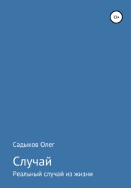 бесплатно читать книгу Случай автора Эльвина Мусина