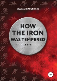 бесплатно читать книгу How the Iron was tempered автора Владимир Рябушкин