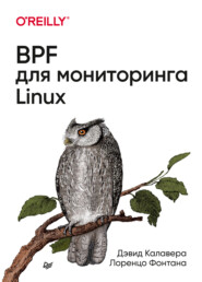 бесплатно читать книгу BPF для мониторинга Linux автора Лоренцо Фонтана