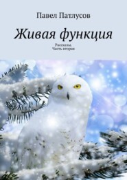 бесплатно читать книгу Живая функция. Рассказы. Часть вторая автора Павел Патлусов