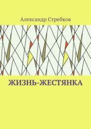 бесплатно читать книгу Жизнь-жестянка автора Александр Стребков