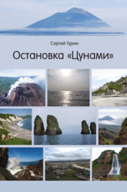бесплатно читать книгу Остановка «Цунами» автора Сергей Гурин