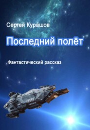 бесплатно читать книгу Последний полёт автора Сергей Курашов
