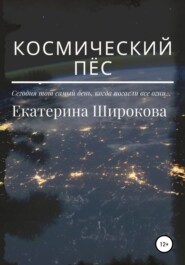 бесплатно читать книгу Космический пёс автора Екатерина Широкова