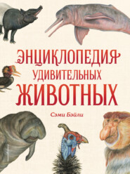 бесплатно читать книгу Энциклопедия удивительных животных автора Сэми Бэйли
