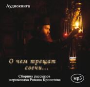 бесплатно читать книгу О чем трещат свечи автора Роман Кропотов