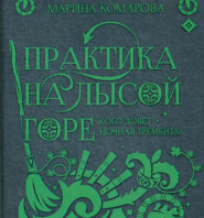 бесплатно читать книгу Практика на Лысой горе автора Марина Комарова