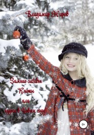 бесплатно читать книгу Зимние забавы Кнопы, или Чудеса в Новом году автора Владимир Жиров