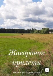 бесплатно читать книгу Жаворонок прилети автора Николай Пантелеев