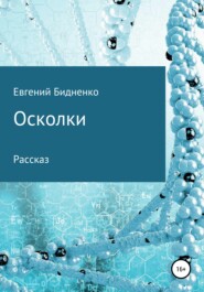 бесплатно читать книгу Осколки автора Евгений Бидненко