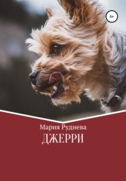 бесплатно читать книгу Джерри автора Мария Руднева