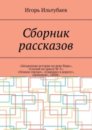 бесплатно читать книгу Сборник рассказов. «Загадочная история на реке Бирь», «Случай на трассе М-5», «Осиное гнездо», «Сюрприз в дорогу», «Домовой», «2020» автора Игорь Ильтубаев