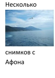 бесплатно читать книгу Несколько снимков с Афона. Паломническая поездка автора Евгений Кузнецов