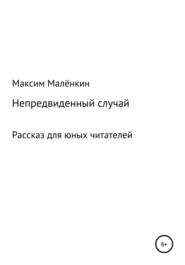 бесплатно читать книгу Непредвиденный случай автора Максим Малёнкин