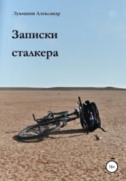 бесплатно читать книгу Записки сталкера автора Александр Лукишин