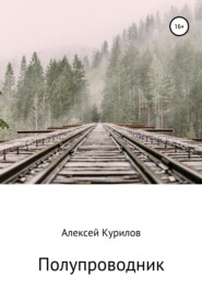 бесплатно читать книгу Полупроводник автора Алексей Курилов