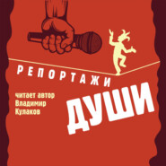 бесплатно читать книгу Репортажи Души автора Владимир Кулаков