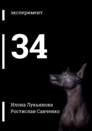 бесплатно читать книгу 34 автора Илона Лукьянова