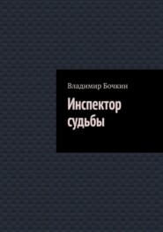 бесплатно читать книгу Инспектор судьбы автора Владимир Бочкин