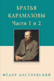 бесплатно читать книгу Братья Карамазовы. Роман в четырех частях с эпилогом. Части 1, 2 автора Федор Достоевский