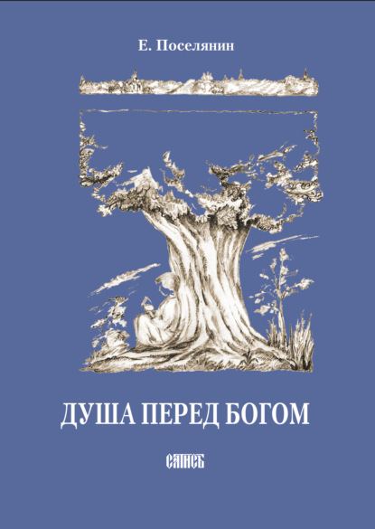 бесплатно читать книгу Душа перед Богом автора Евгений Поселянин