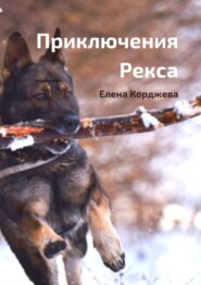 бесплатно читать книгу Приключения Рекса. Добрая повесть автора Елена Корджева