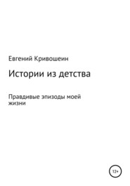 бесплатно читать книгу Истории из детства автора Евгений Кривошеин