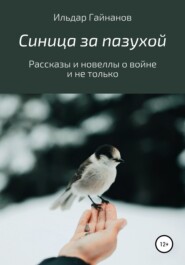 бесплатно читать книгу Синица за пазухой. Рассказы и новеллы о войне и не только автора Ильдар Гайнанов