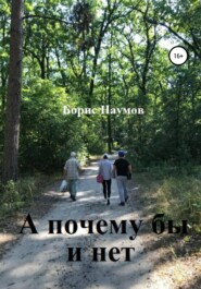 бесплатно читать книгу А почему бы и нет автора Борис Наумов