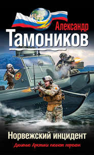 бесплатно читать книгу Норвежский инцидент автора Александр Тамоников