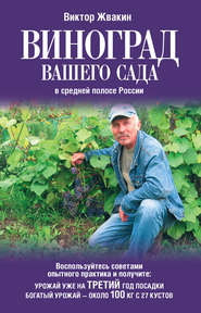 бесплатно читать книгу Виноград вашего сада в средней полосе России автора Виктор Жвакин